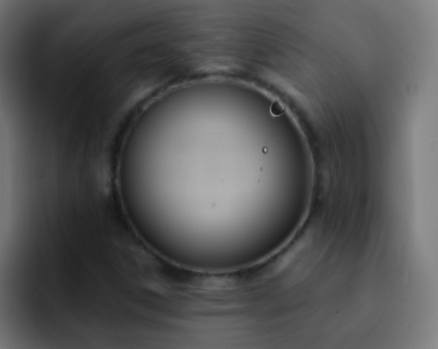 X0000093091306200710031805