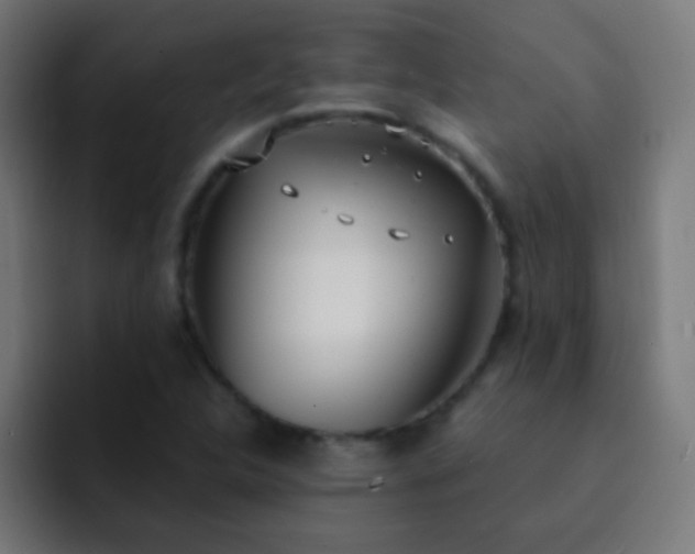 X0000093091312200710031805