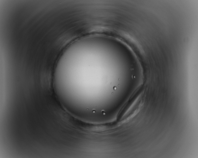 X0000093091313200710031805