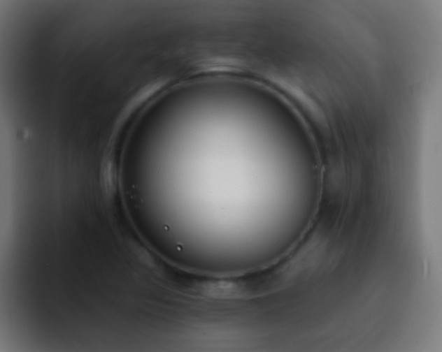 X0000093091317200710031805