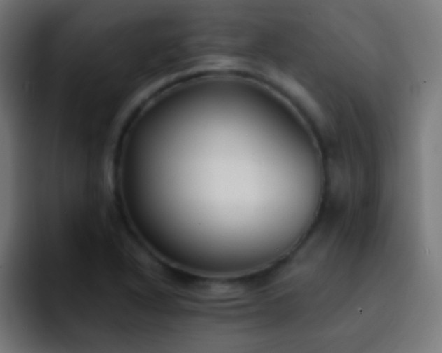 X0000093091318200710031805