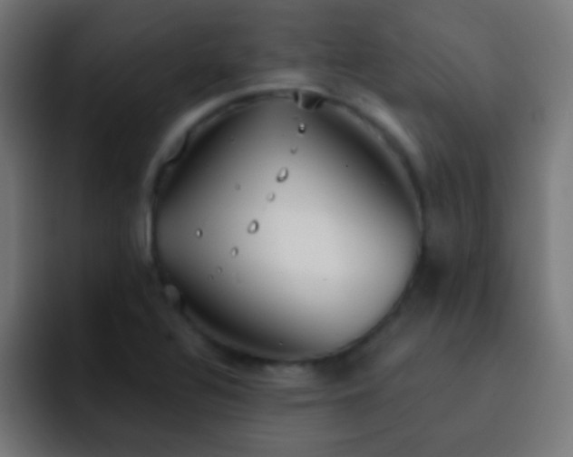 X0000093091320200710031805