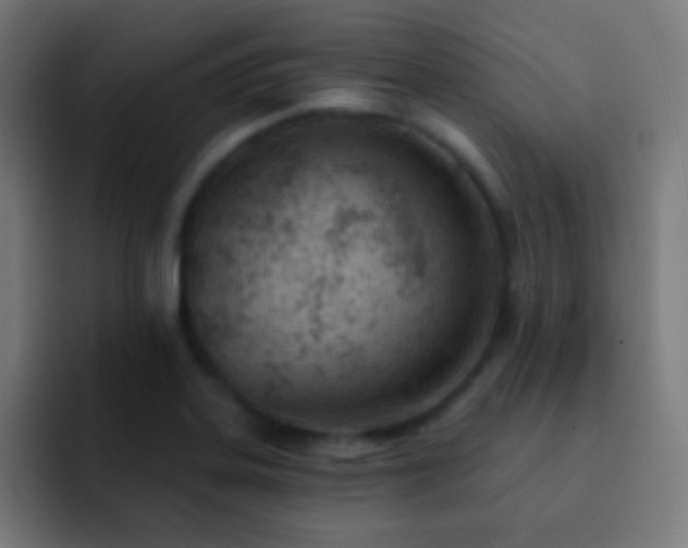 X0000093091323200710031805