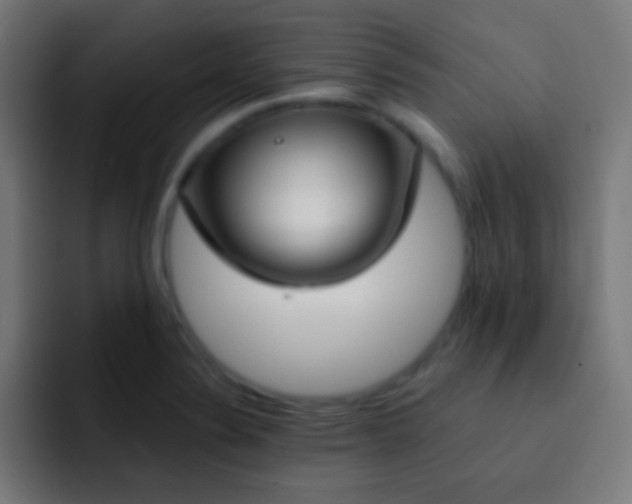 X0000093091324200710031805