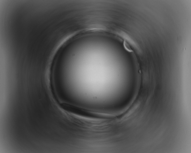 X0000093091325200710031805