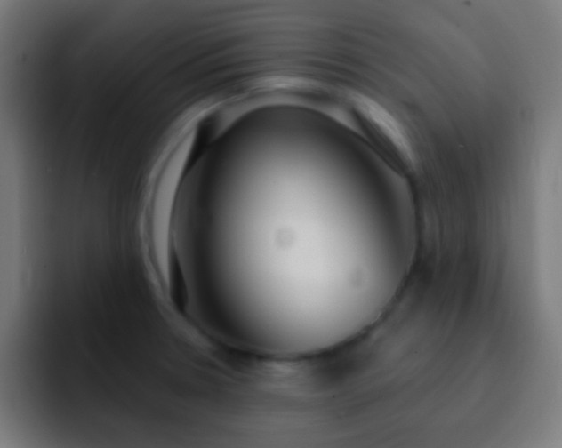 X0000093091330200710031805