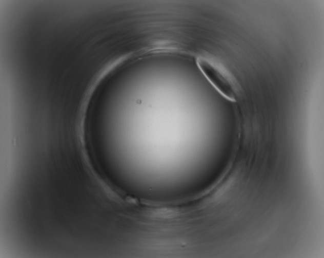 X0000093091333200710031805