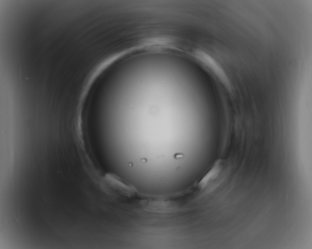 X0000093091336200710031805