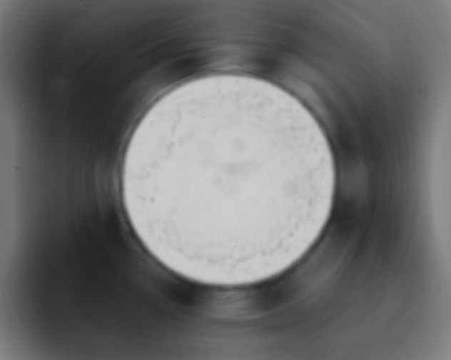 X0000093091338200710031805