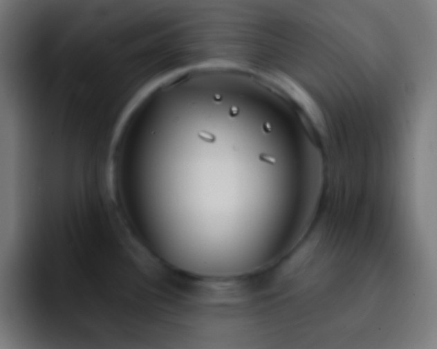 X0000093091340200710031805