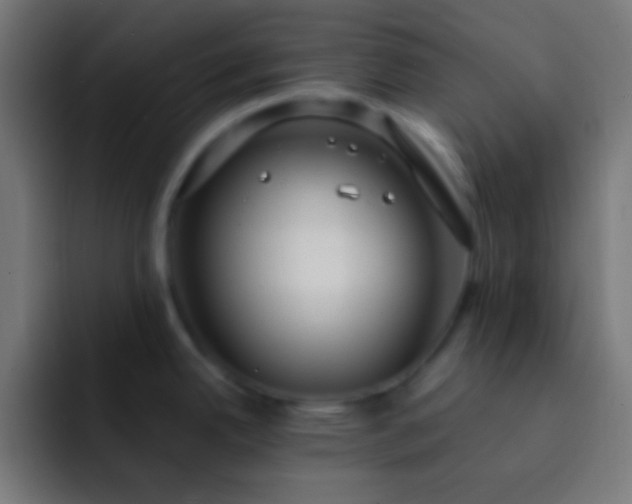 X0000093091342200710031805