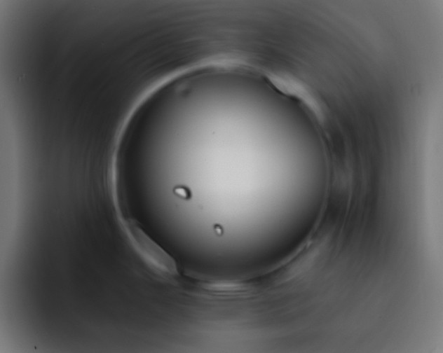 X0000093091343200710031805