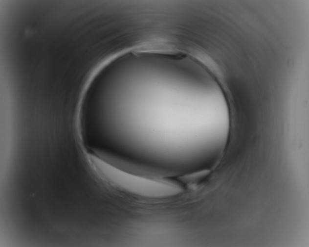 X0000093091344200710031805