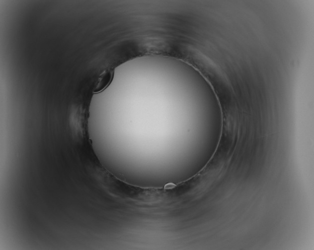 X0000093091346200710031804