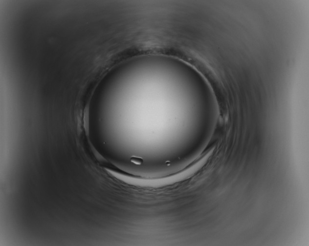 X0000093091348200710031804