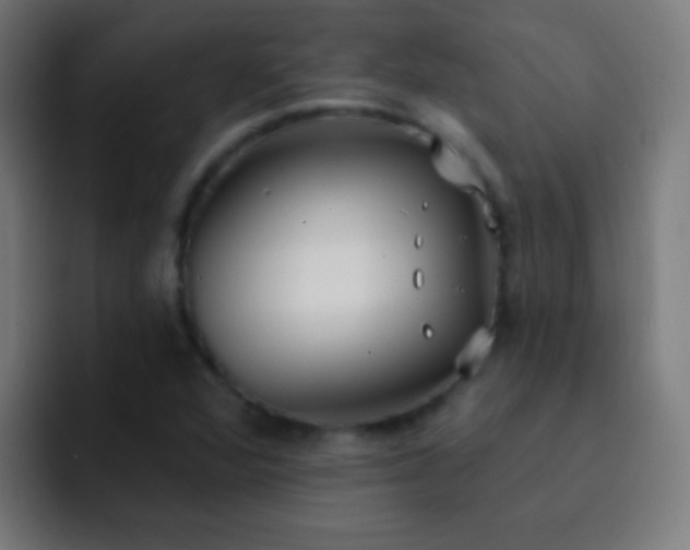 X0000093091360200710031804