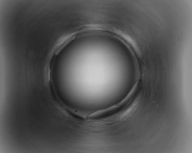 X0000093091365200710031804