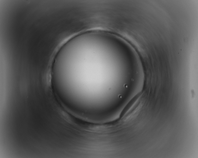 X0000093091367200710031804