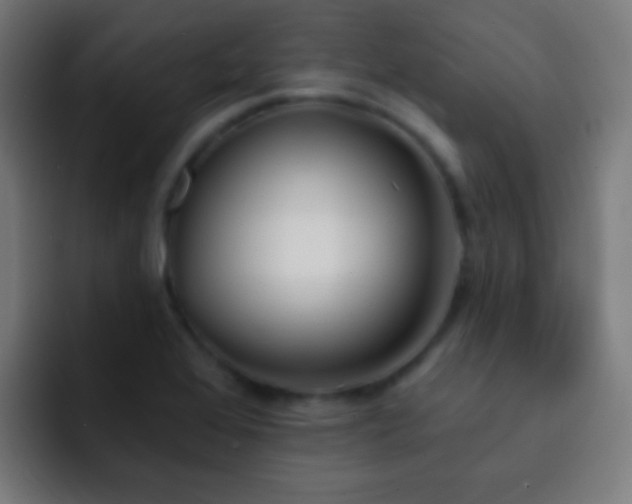 X0000093091368200710031804