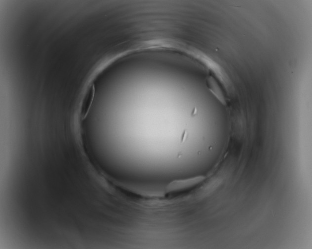 X0000093091373200710031804