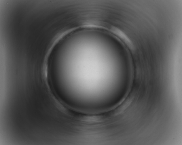 X0000093091376200710031804