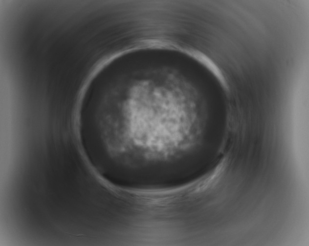 X0000093091381200710031804