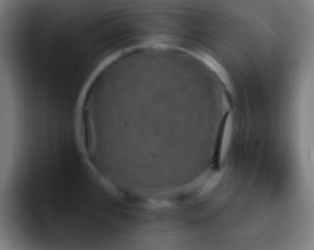 X0000093091384200710031804