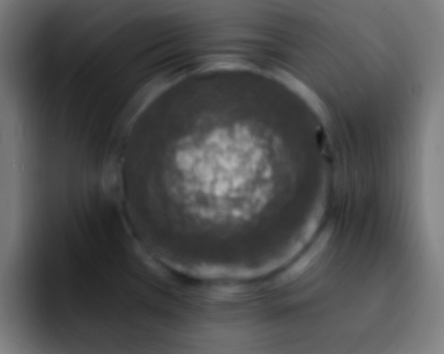 X0000093091385200710031804