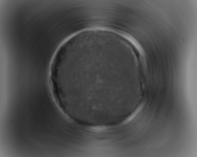 X0000093091388200710031804