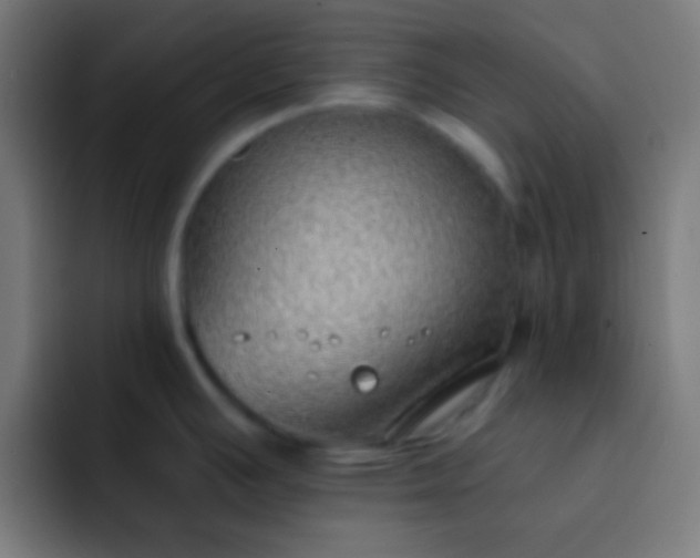 X0000093091391200710031804