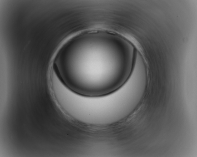 X0000093091392200710031804