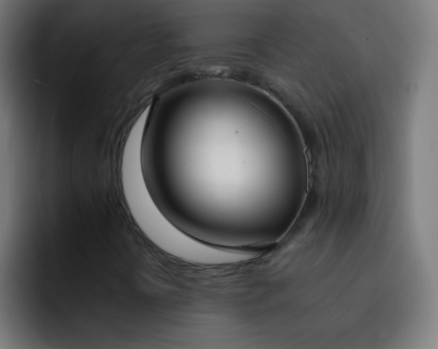 X0000093091394200710031803