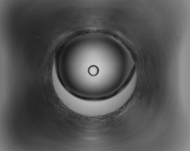 X0000093091398200710031803