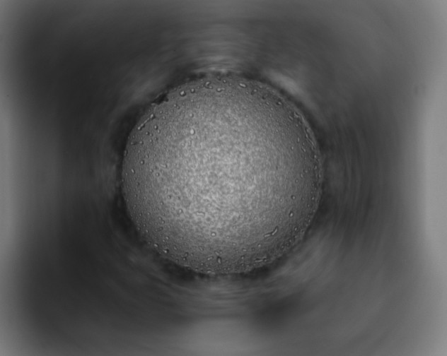 X0000093091399200710031803