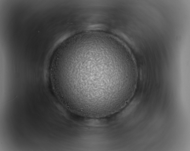 X0000093091405200710031803