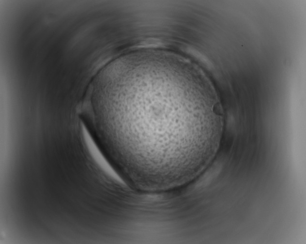 X0000093091409200710031804