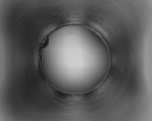 X0000093091411200710031804