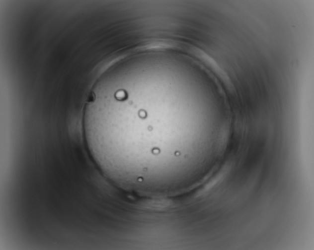 X0000093091417200710031804