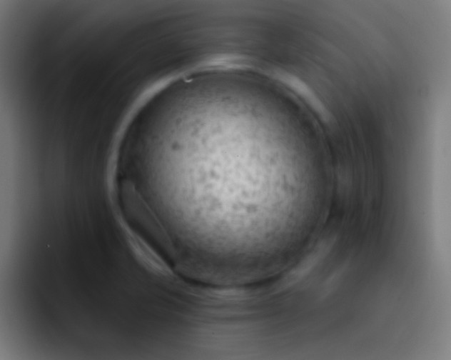 X0000093091421200710031804