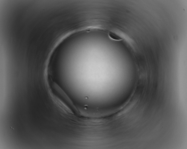 X0000093091423200710031804