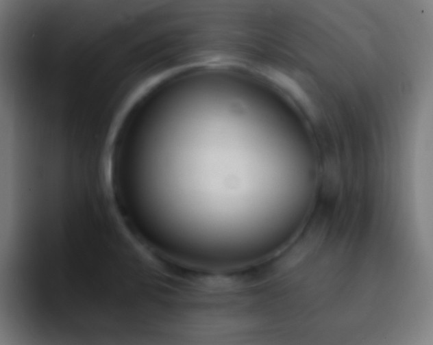 X0000093091424200710031804