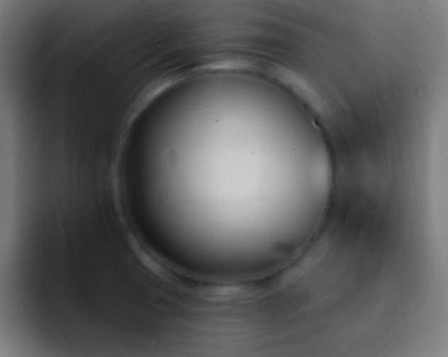 X0000093091425200710031804