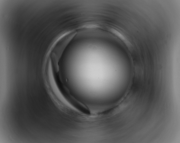 X0000093091426200710031804