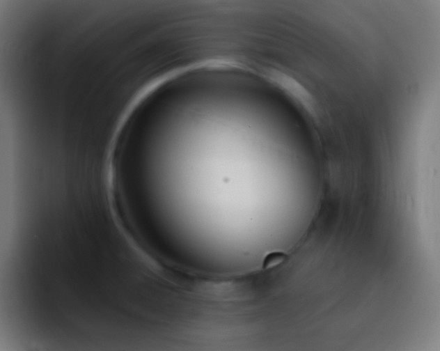 X0000093091428200710031804