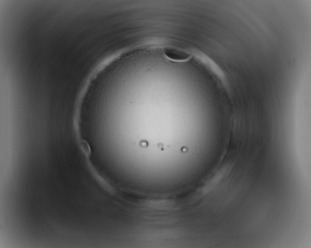 X0000093091429200710031804