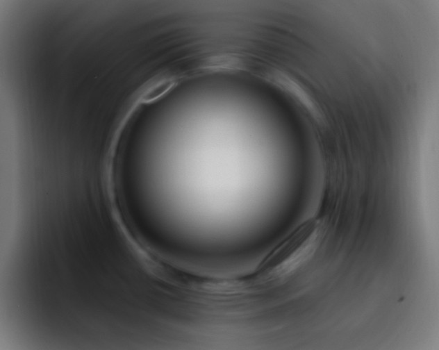 X0000093091434200710031804