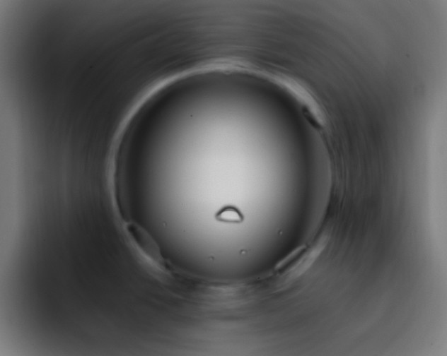 X0000093091438200710031804