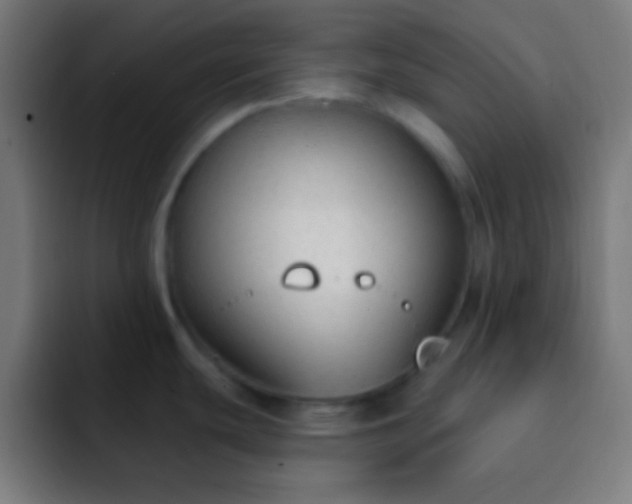 X0000093091439200710031804