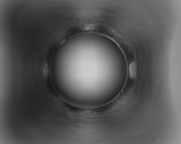 X0000093091443200710031803