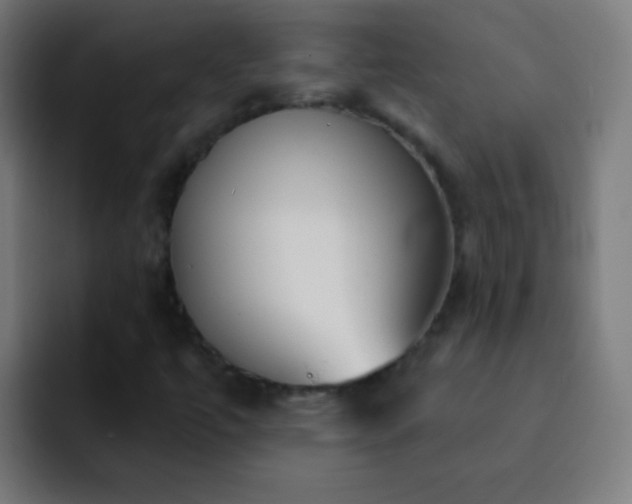 X0000093091447200710031803